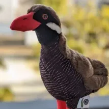 ykatsunoのプロフィール画像