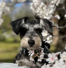 朝山 桃吾のプロフィール画像