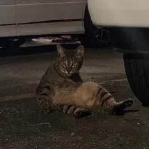 大西 薫のプロフィール画像